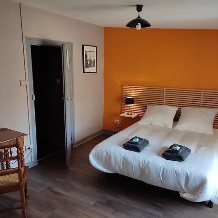 Couette-café Charmante Maison Au Coeur Du Puy-en-velay Avec Jardin Clos Et Terrasse, A 2 Min De La Cite Historique - Fr-1-582-468